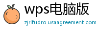 wps电脑版